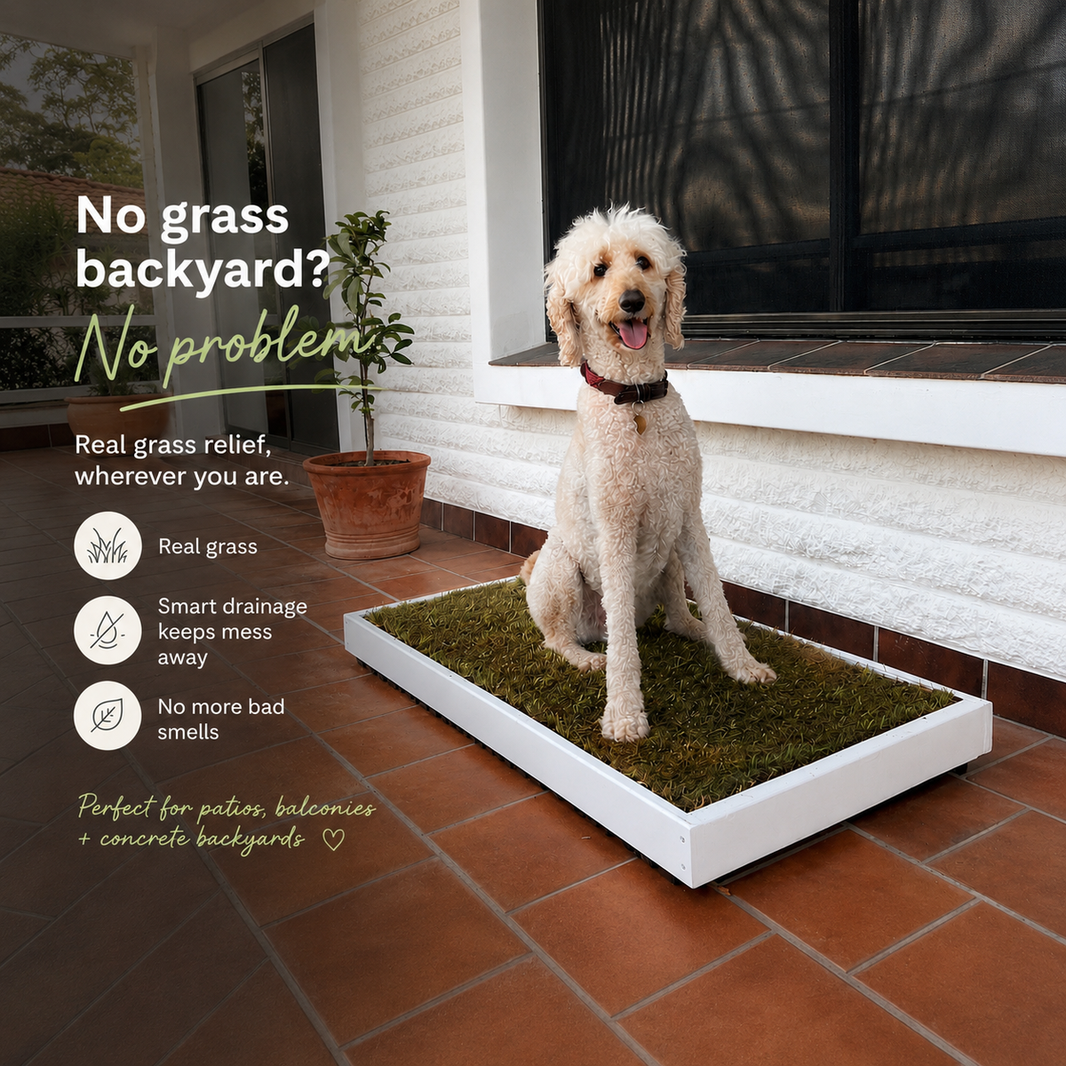 Paw & Meadow™ Meadow Potty
