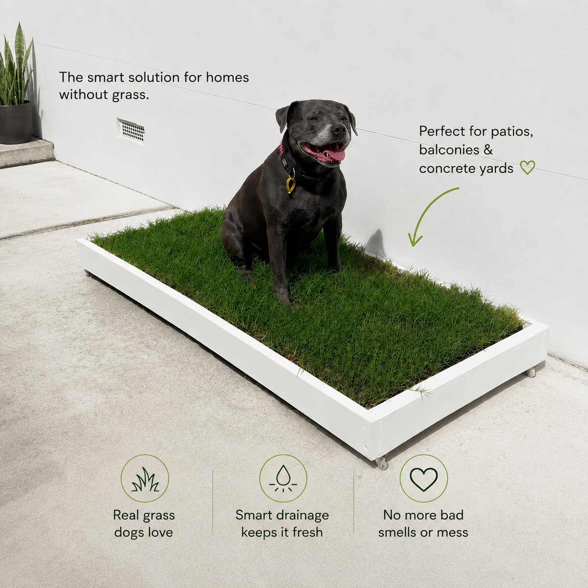 Paw & Meadow™ Meadow Potty